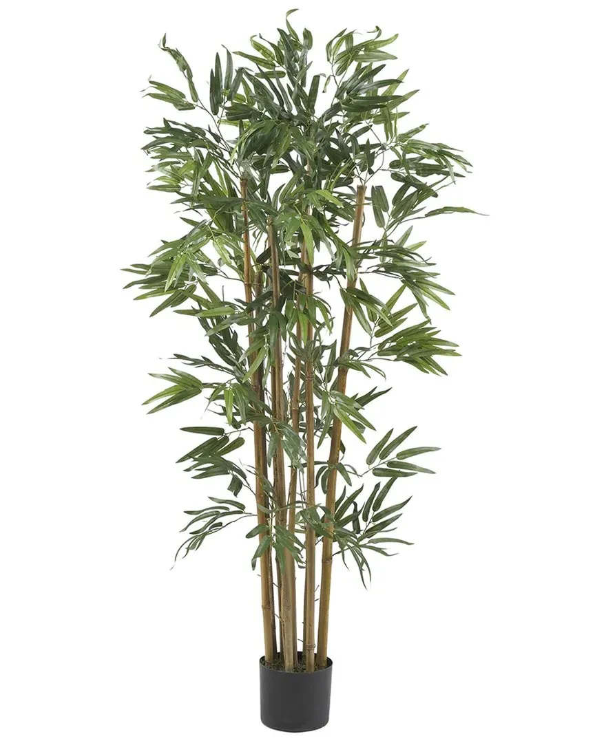 4ft Multi Bambusa Bamboo Silk Tree - Green