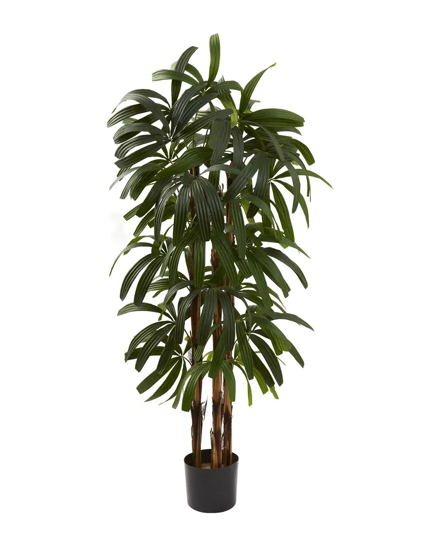 4ft Raphis Palm Tree - Green