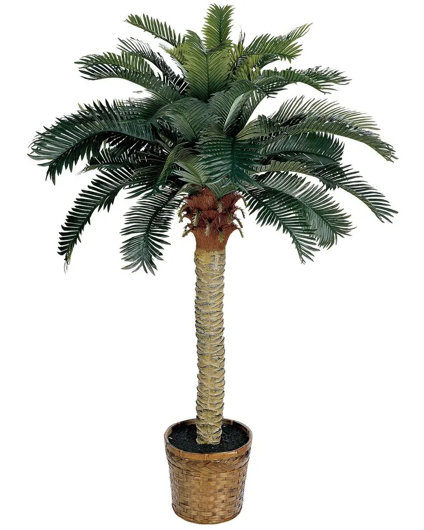 4ft Sago Palm Tree with Wicker Basket - Green