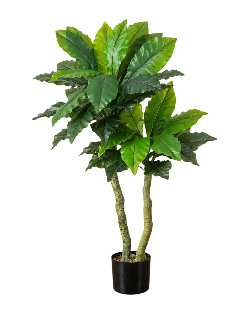 4ft UV-Resistant Bird Nest Fern Tree - Green image