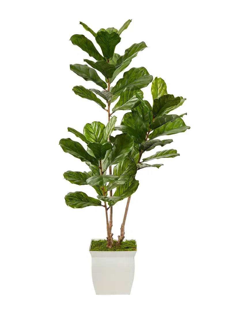 5.5ft Fiddle Leaf Artificial Tree in Planter - Green