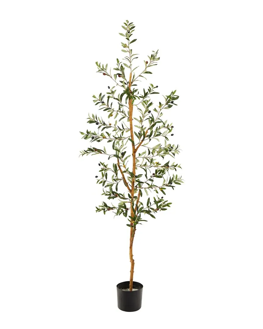 5.5ft Olive Artificial Tree with Planter - Green