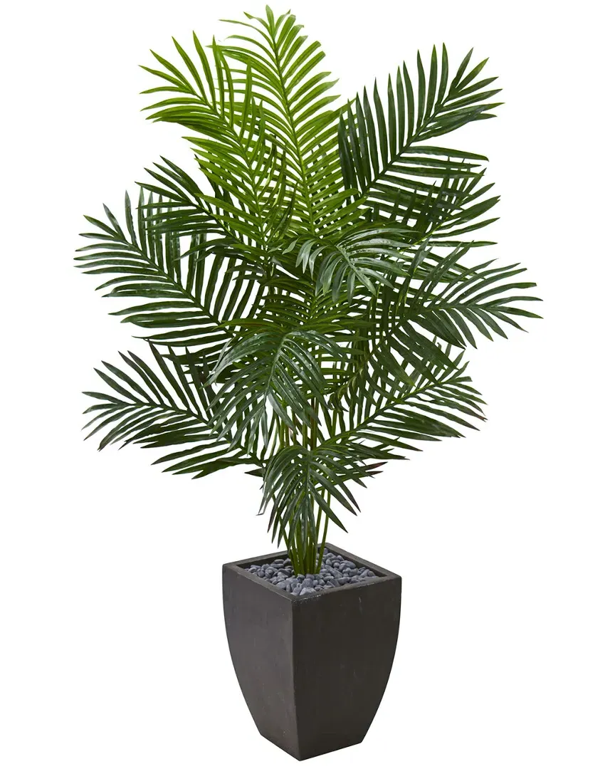 5.5ft Paradise Artificial Palm Tree in Black Planter - Green