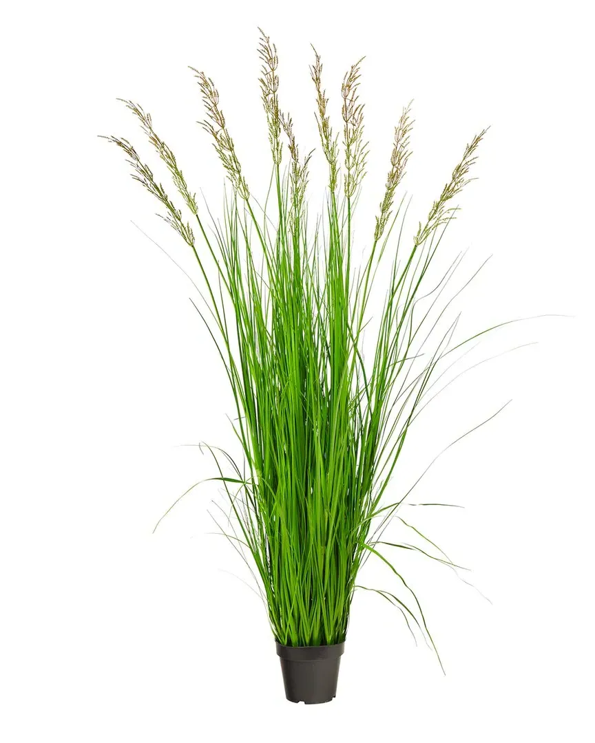 5.5ft Plume Grass Artificial Plant - Green