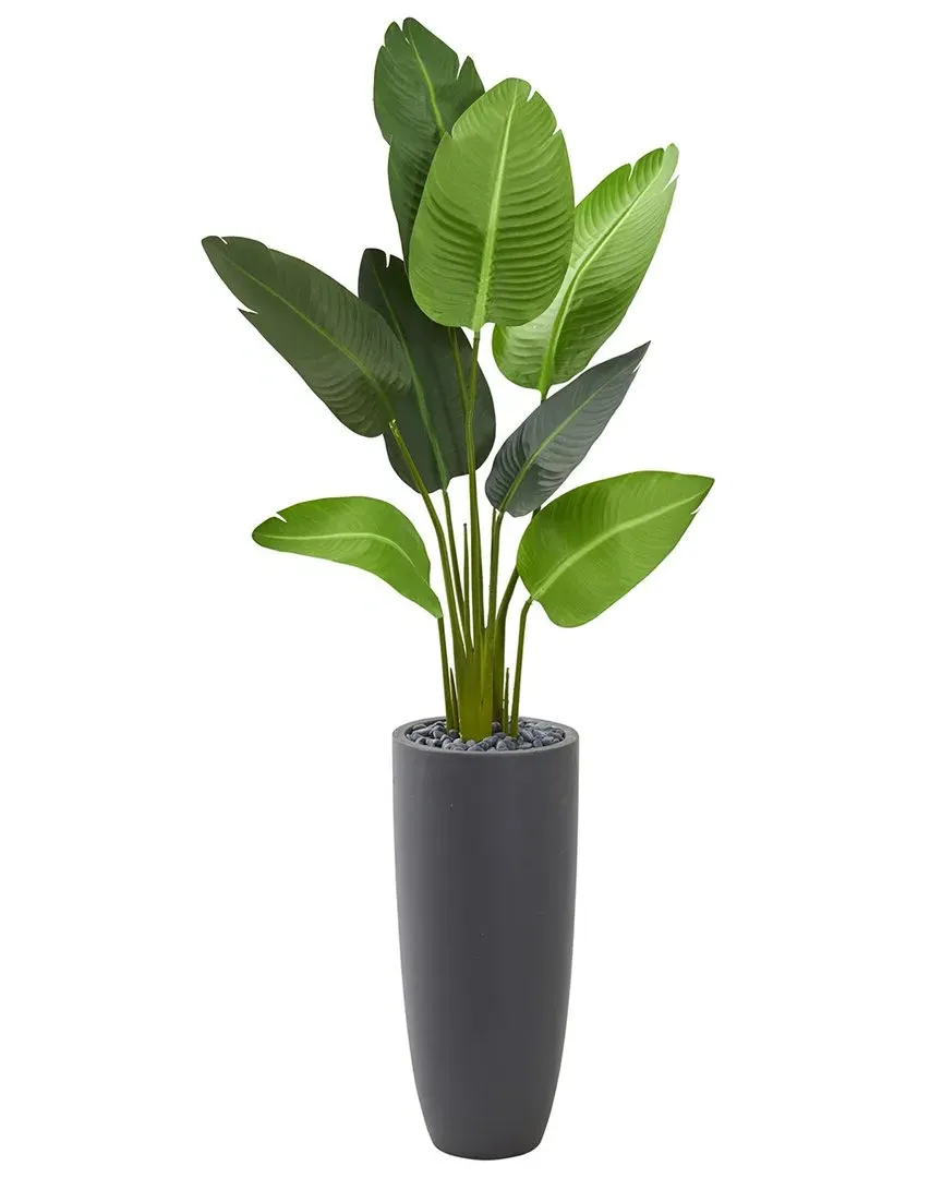 5.5ft Travelers Palm Artificial Tree in Planter - Green