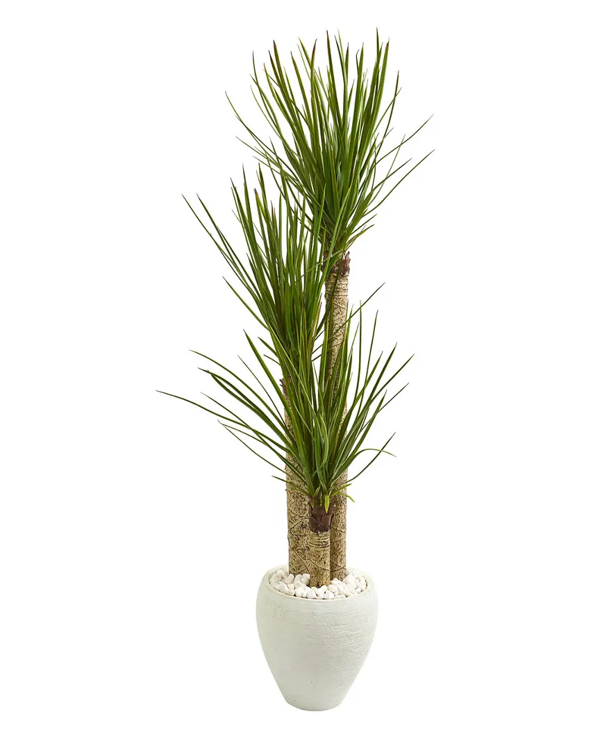 5.5ft Yucca Artificial Tree with Planter - White