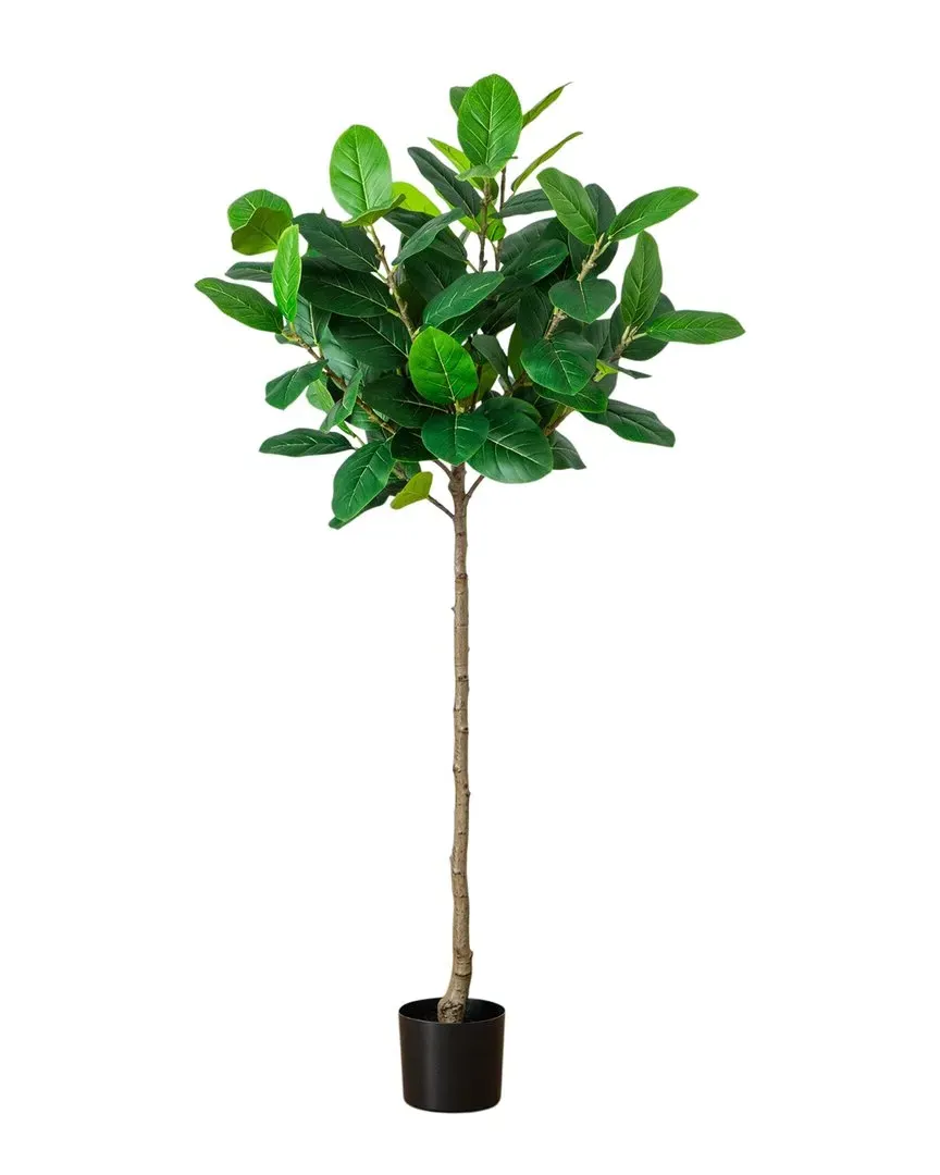 5ft Artificial Petite Audrey Ficus Tree - Green image