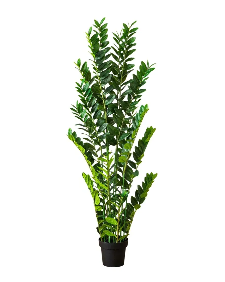5ft Artificial Zamioculcas Plant - Green