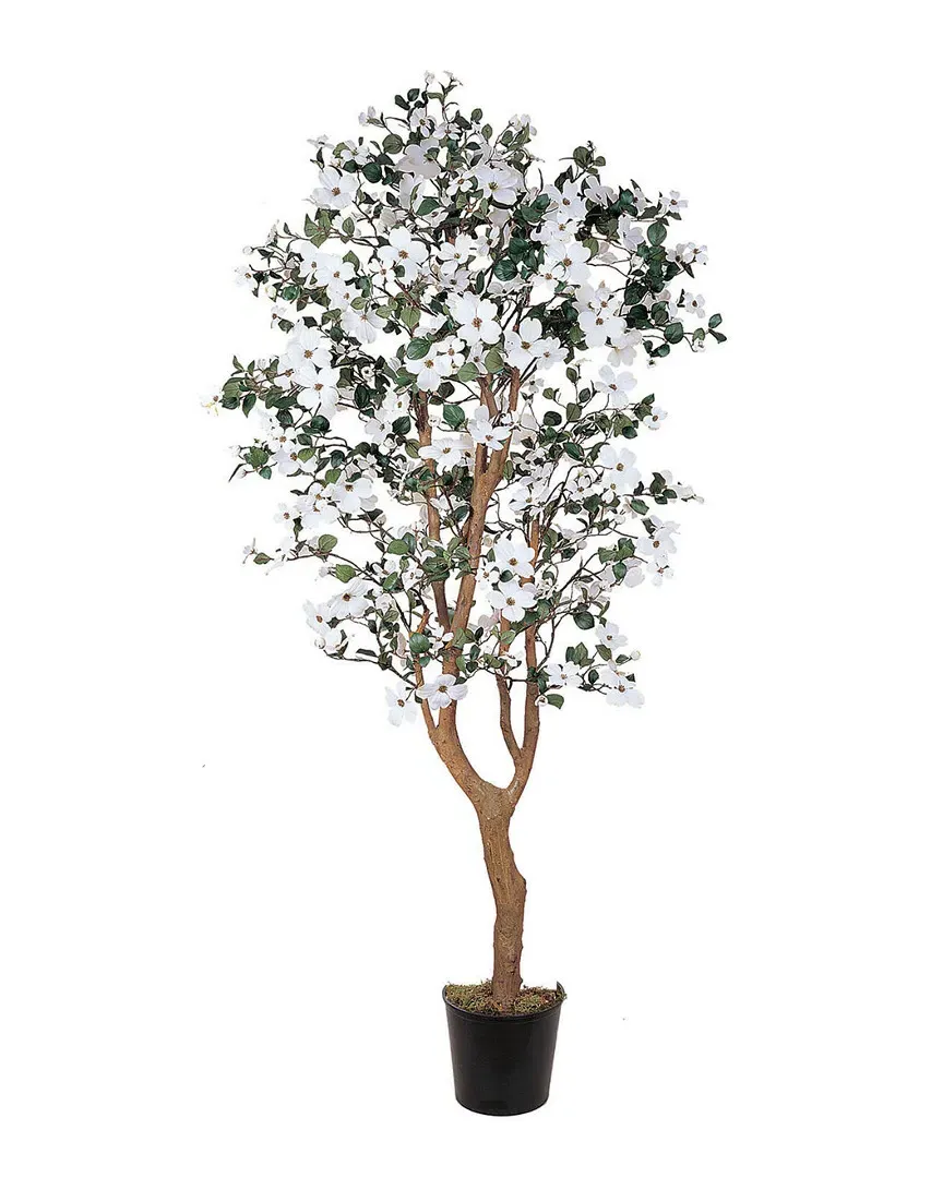 5ft Dogwood Silk Tree