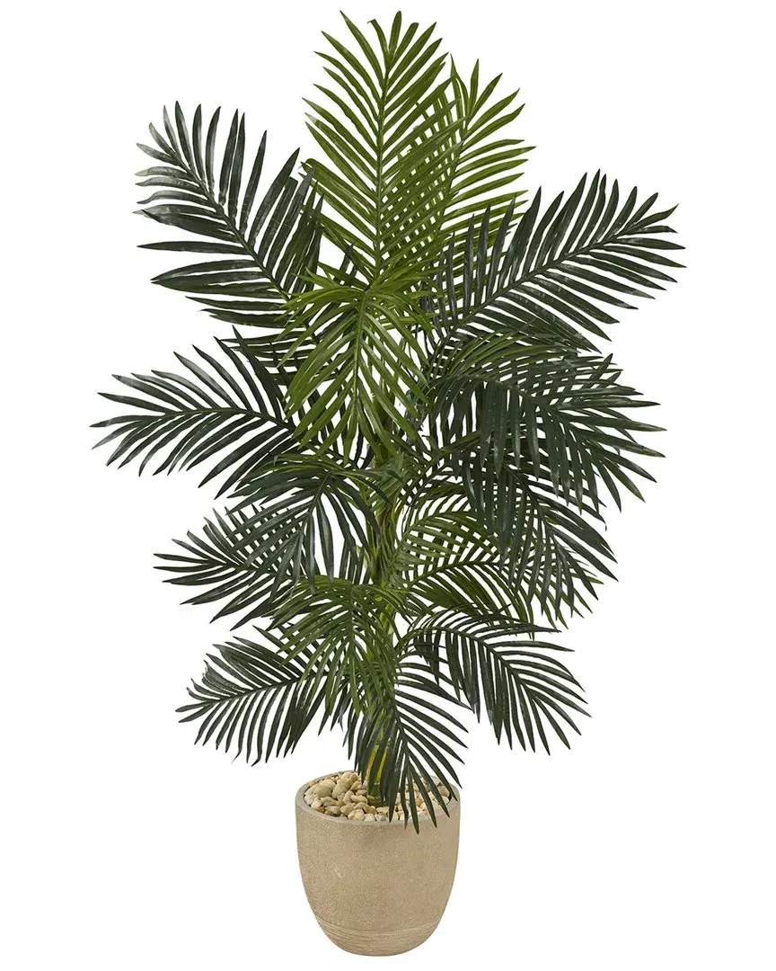5ft Golden Cane Palm Tree with Sandstone Planter - Green