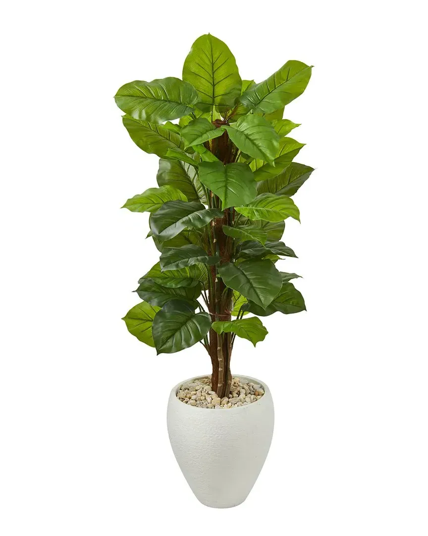 5ft Large Leaf Philodendron Artificial Plant - Green