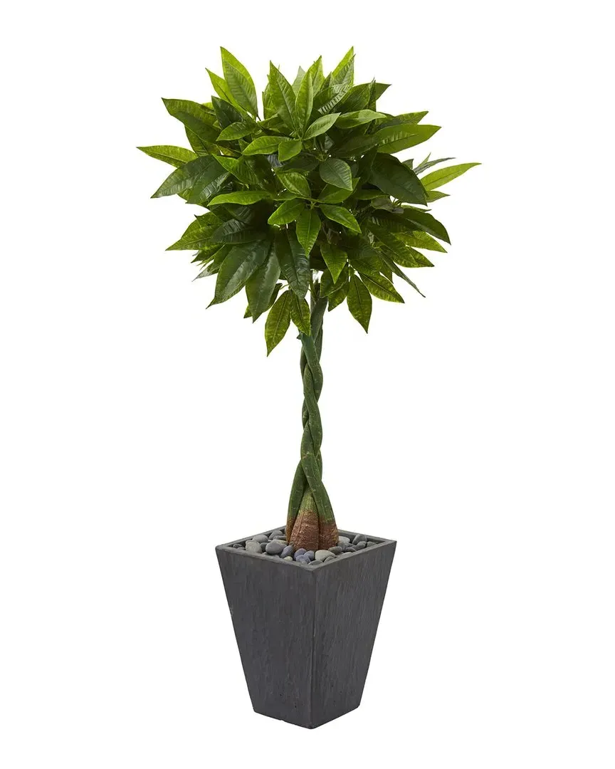 5ft Money Artificial Tree in Planter - Green