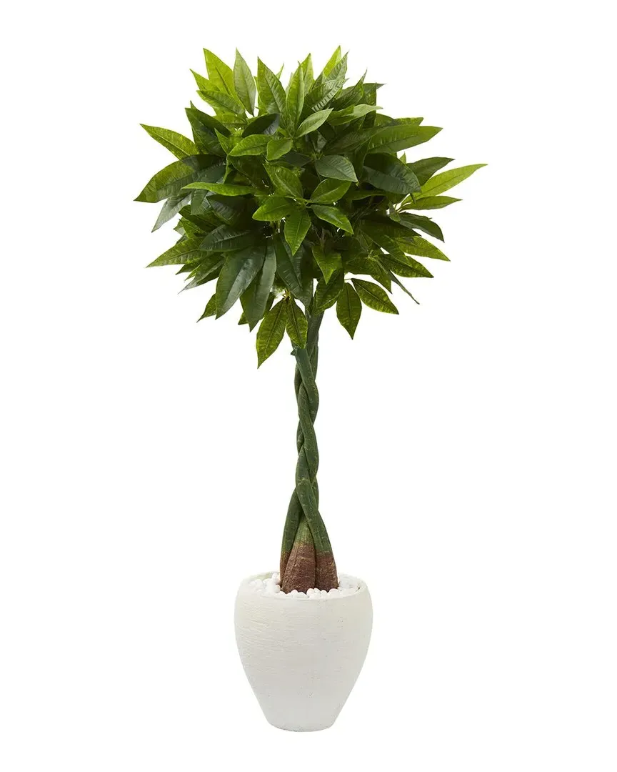 5ft Money Artificial Tree in Planter - Green image