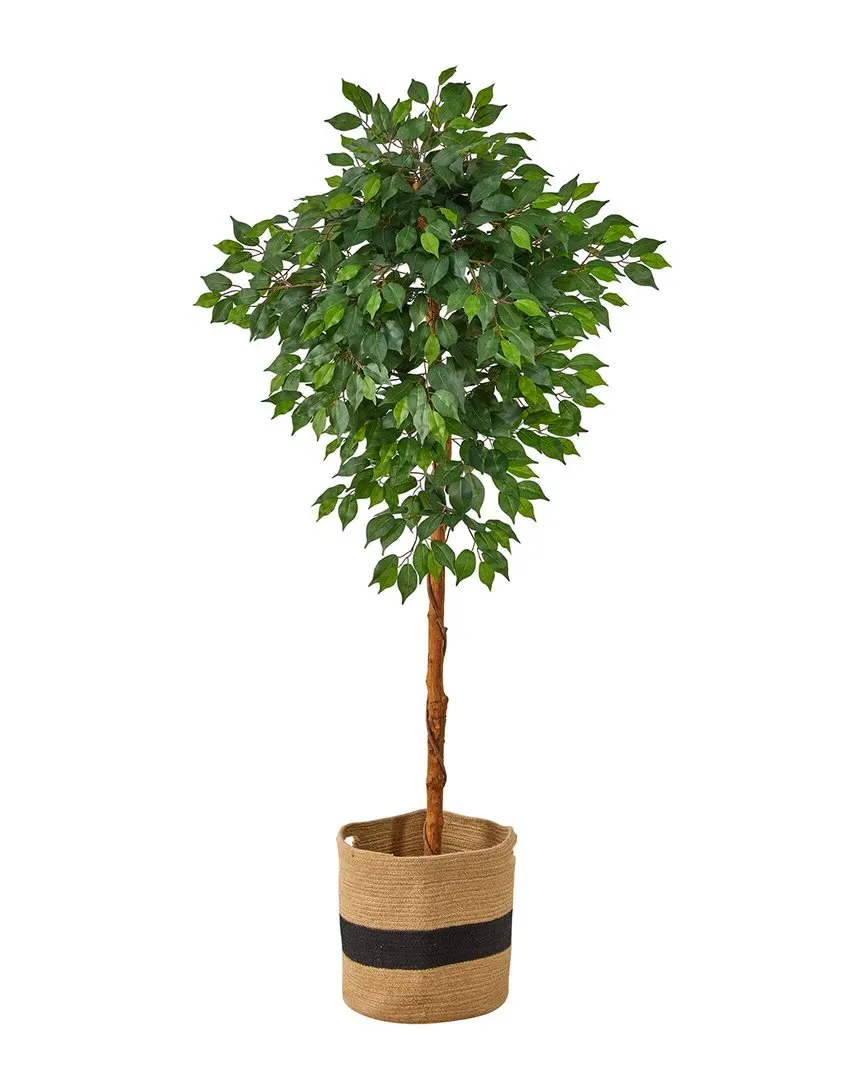 6ft Artificial Ficus Tree with Basket - Green image