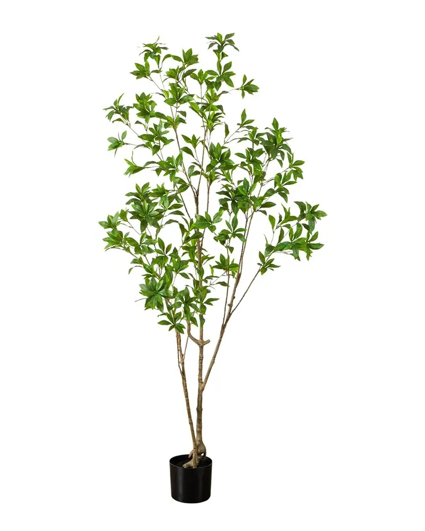 6ft Artificial Japanese Pieris Tree - Green image