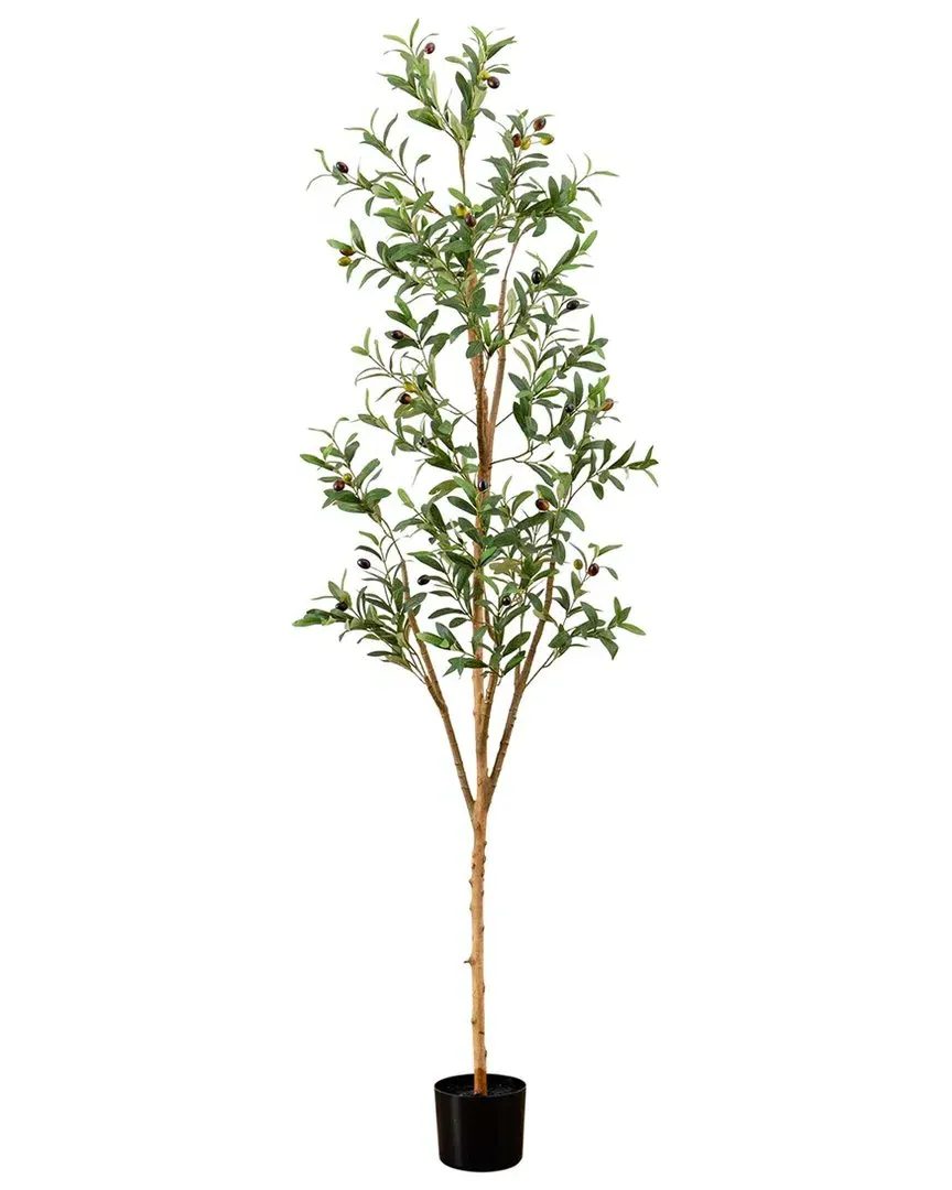 6ft Artificial Olive Tree with Natural Trunk - Green