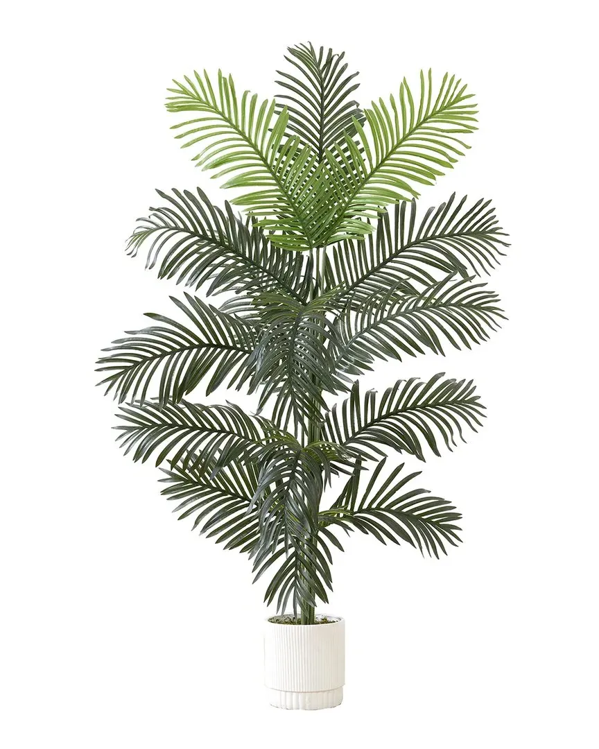 6ft Artificial Paradise Palm with Decorative Planter - Green image