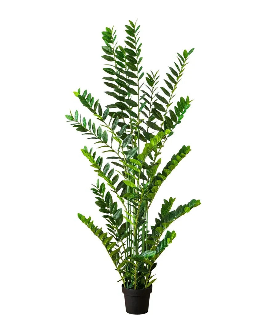 6ft Artificial Zamioculcas Plant - Green