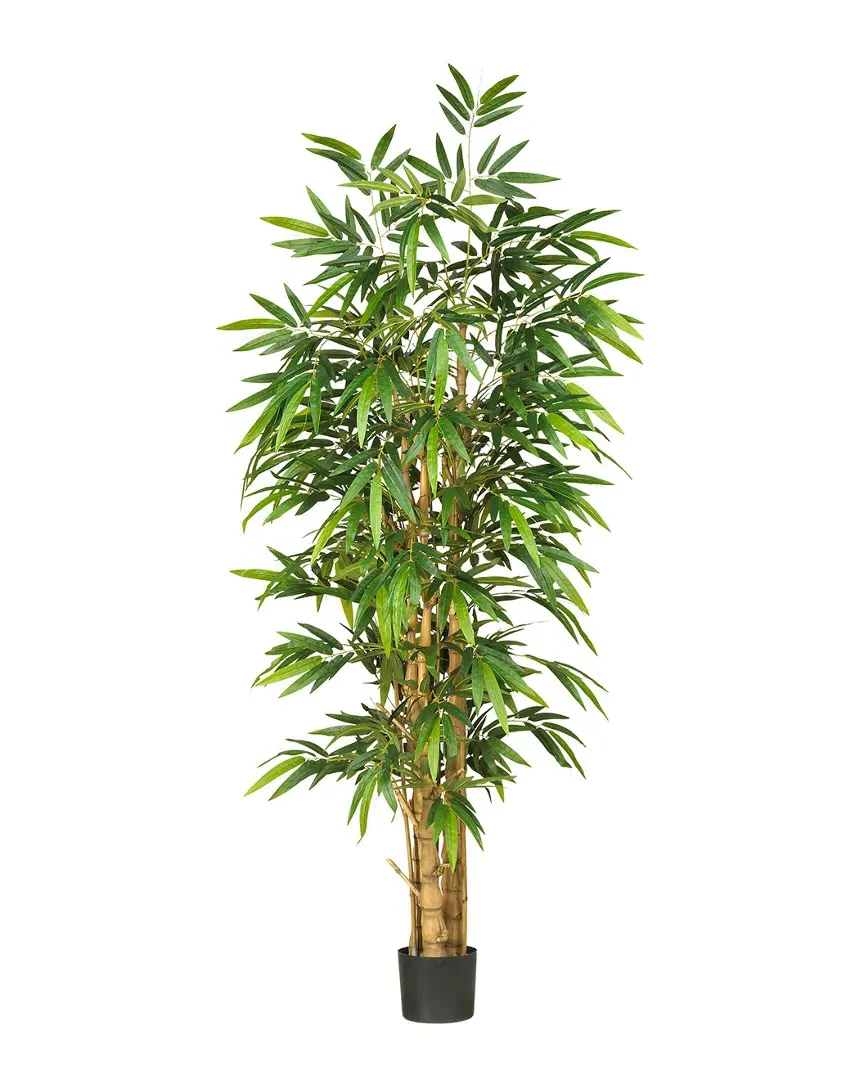 6ft Belly Bamboo Silk Tree