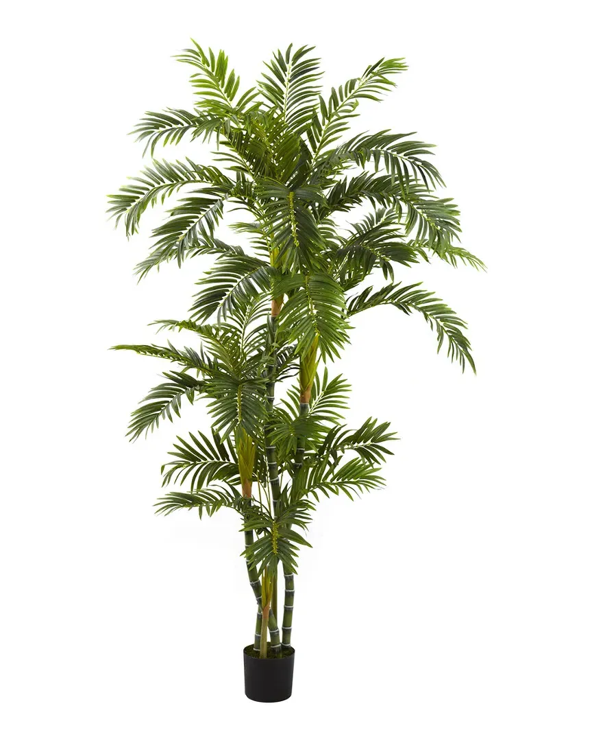 6ft Curvy Parlor Palm Silk Tree