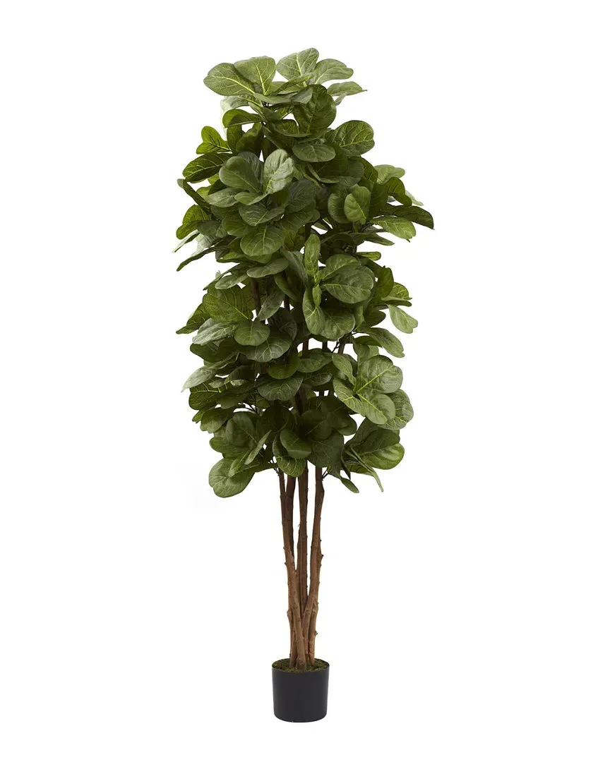 6ft Fiddle Leaf Fig Tree with Planter
