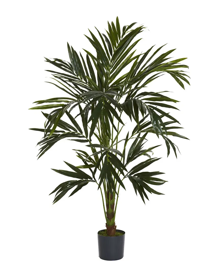 6ft Kentia Silk Tree - Green image