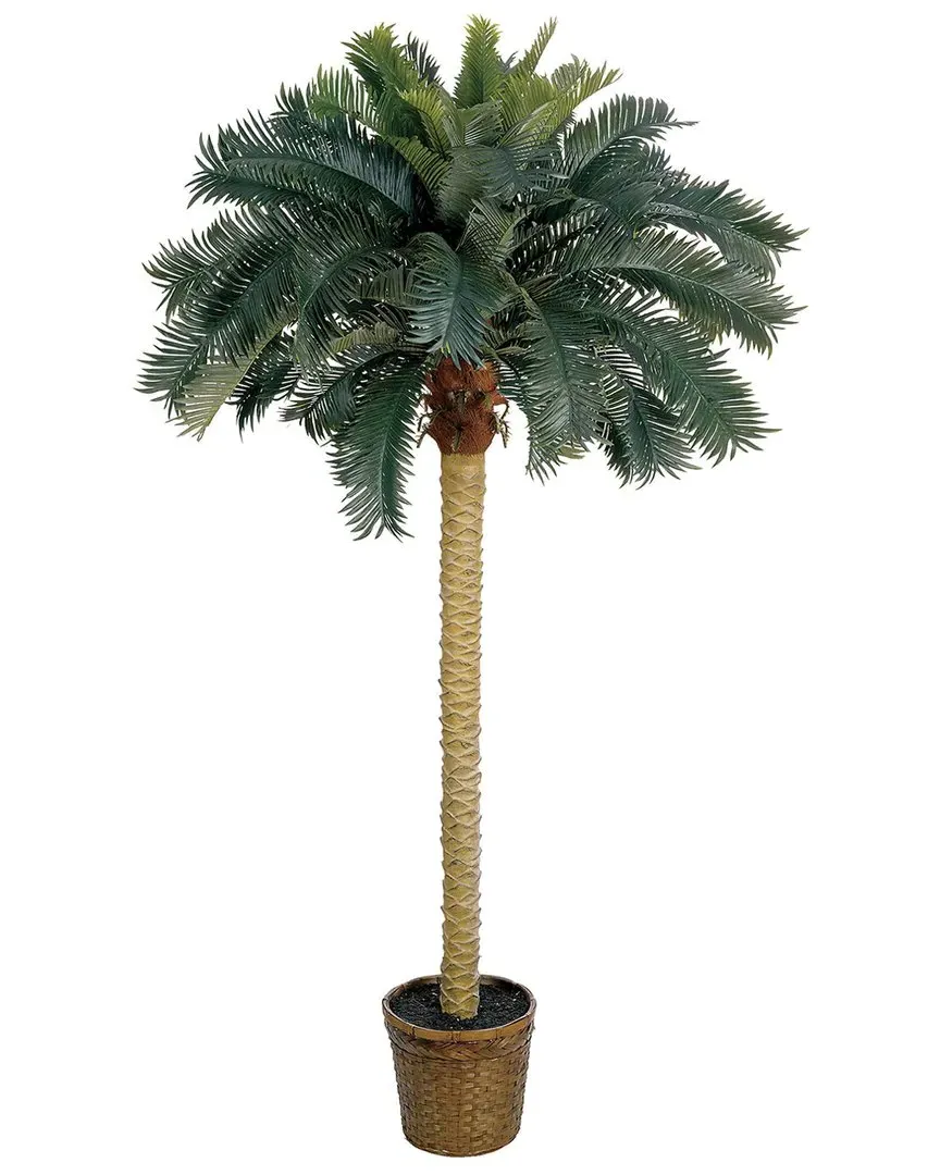 6ft Sago Palm Silk Tree image