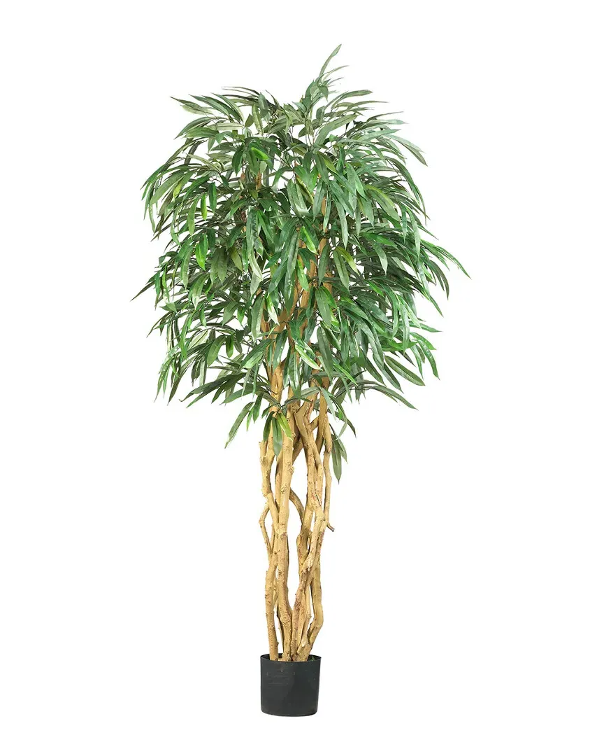 6ft Weeping Ficus Silk Tree