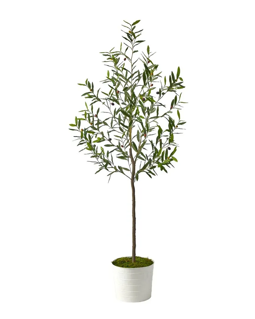 70in Olive Artificial Tree with Planter - Green, White