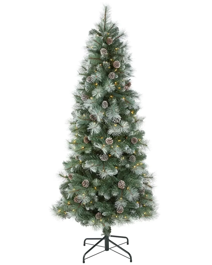 72in Frosted Tip British Columbia Mountain Pine Tree - Green