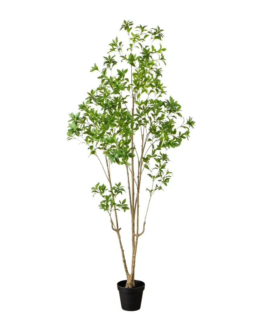 8ft Artificial Japanese Pieris Tree - Green