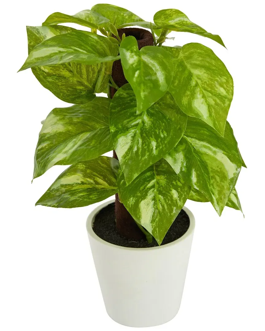 9in Pothos Artificial Plant in White Planter - Green image