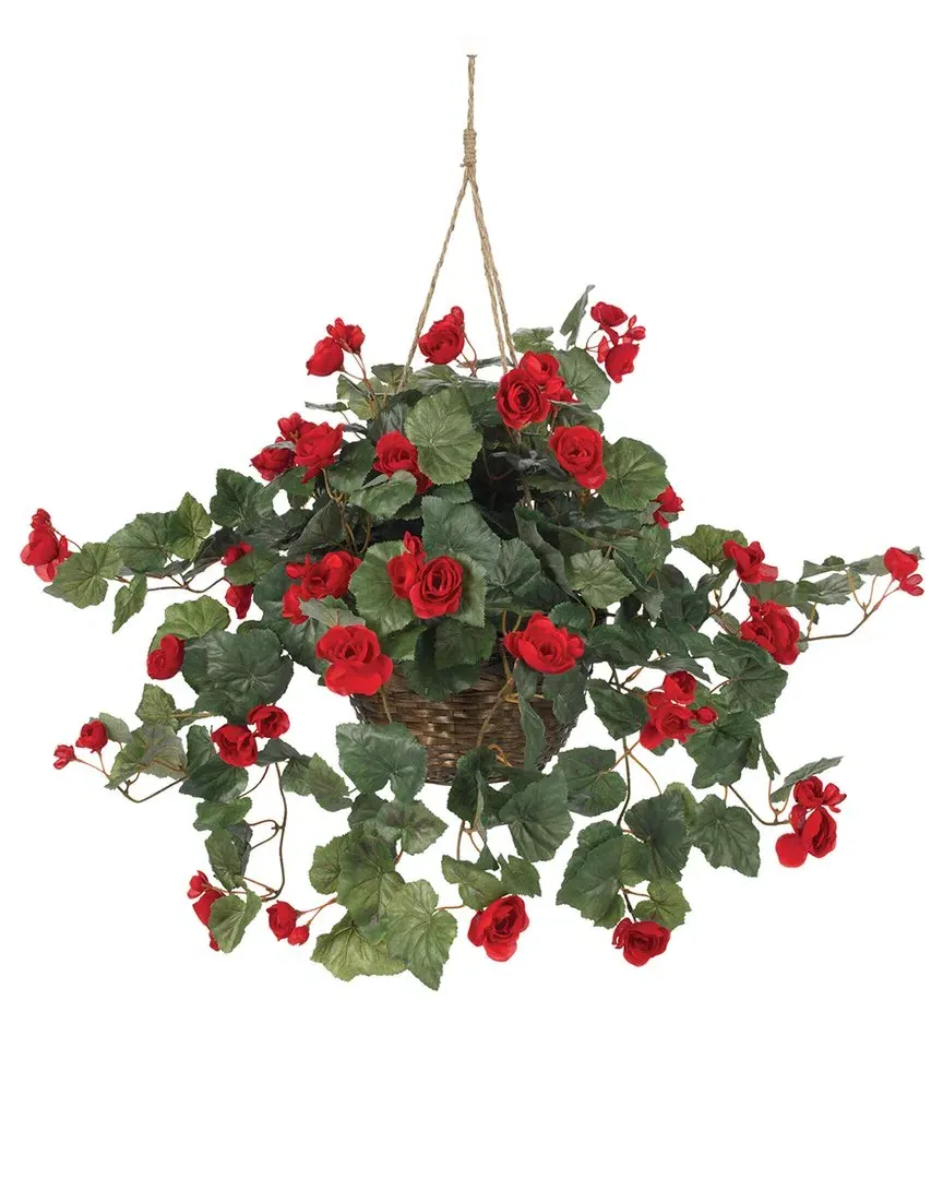 Begonia Hanging Basket - Red image