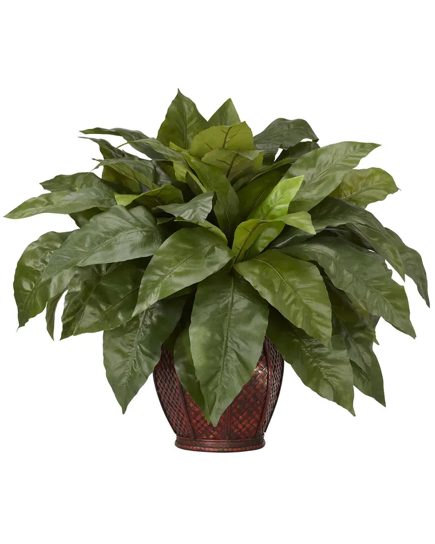 Birds Nest Fern with Decorative Vase - Green