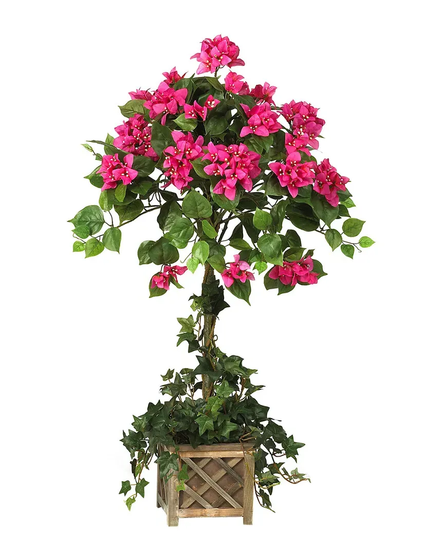 Bougainvillea Topiary with Wood Box image