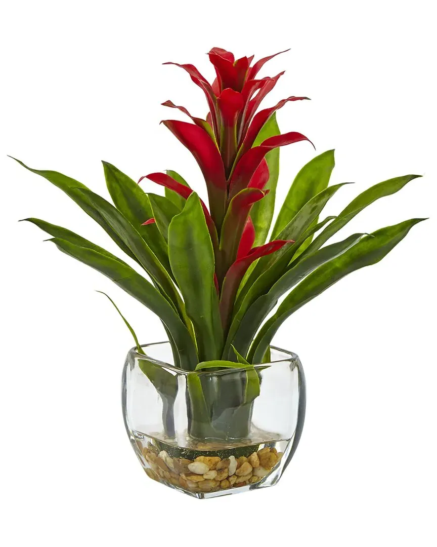 Bromeliad with Glass Vase Arrangement - Red image