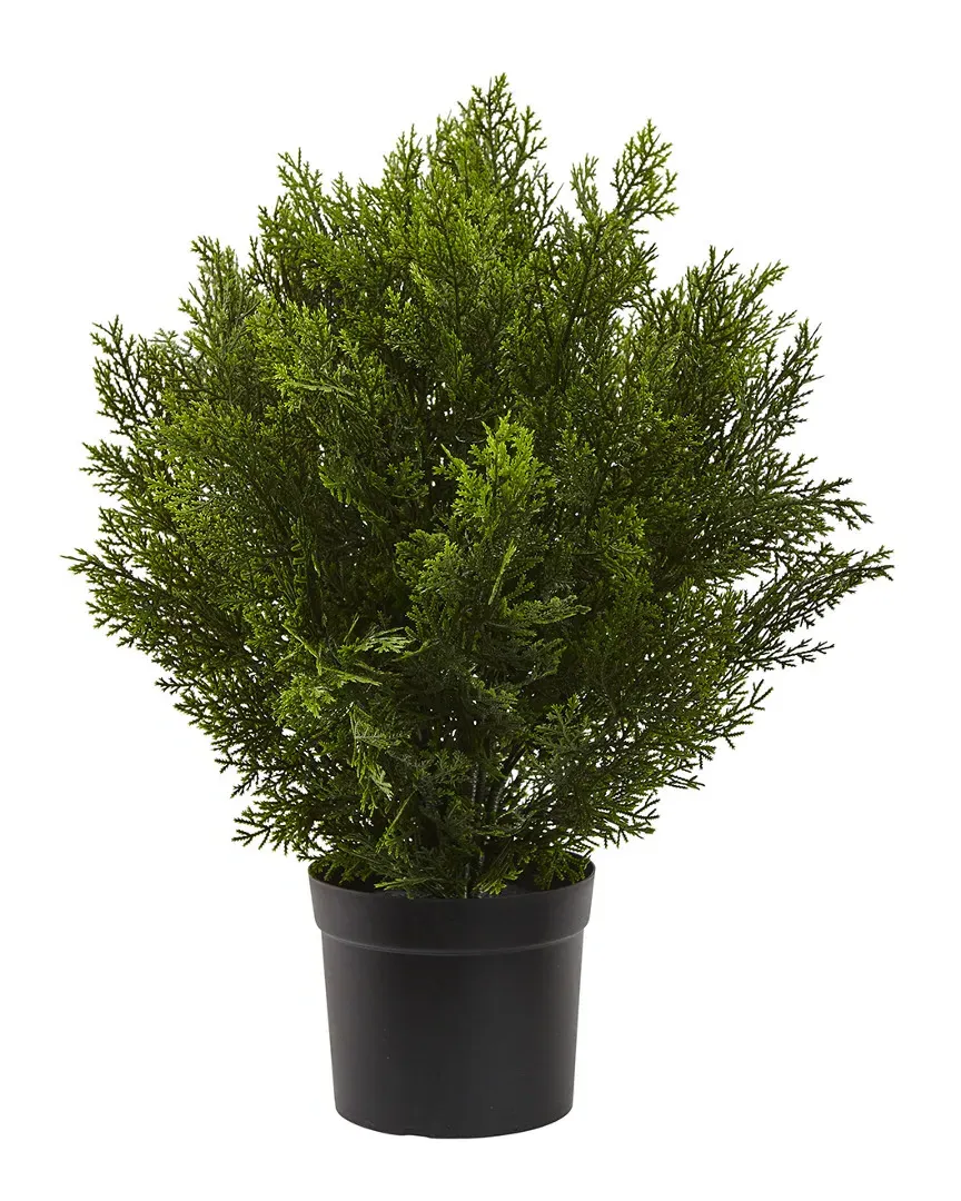 Cedar Artificial Bush - Green image