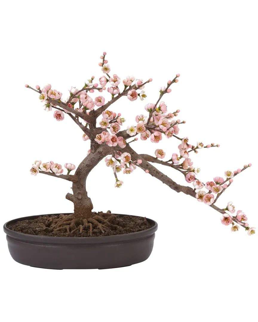 Cherry Blossom Bonsai Silk Tree - Pink image