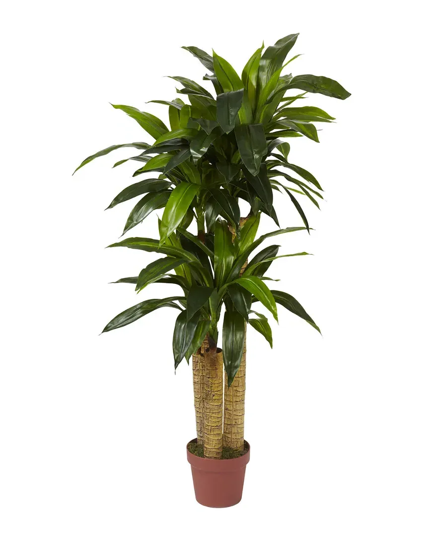 Corn Stalk Dracaena Silk Plant - Green image