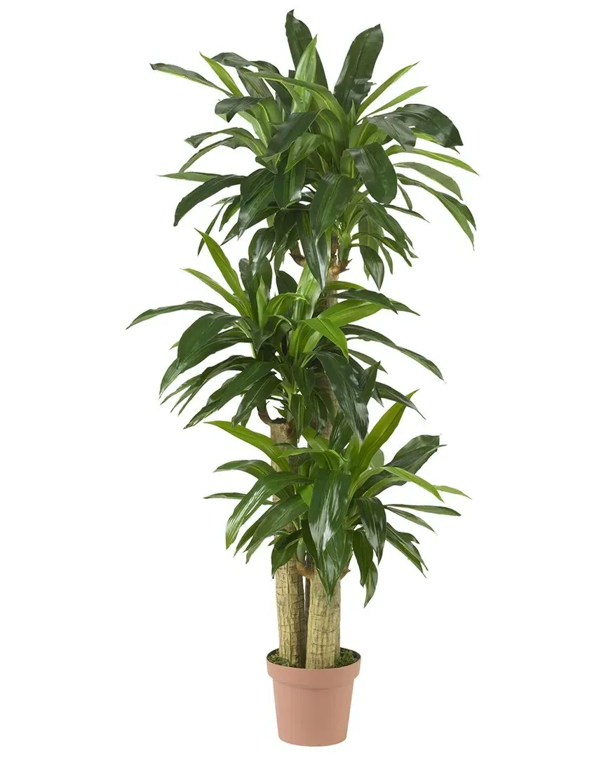 Corn Stalk Dracaena Silk Plant Real Touch - Green