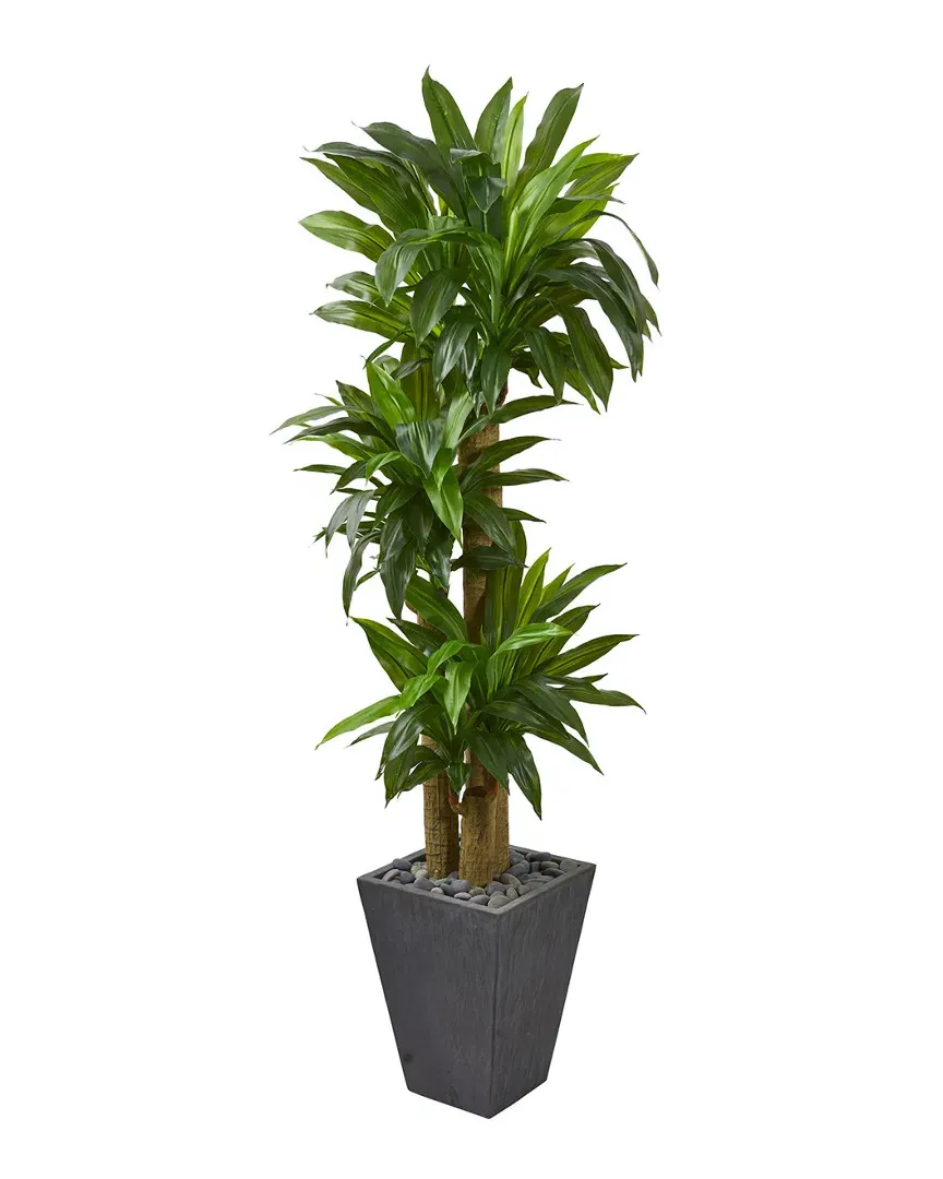 Cornstalk Dracaena Artificial Plant in Slate Planter - Green
