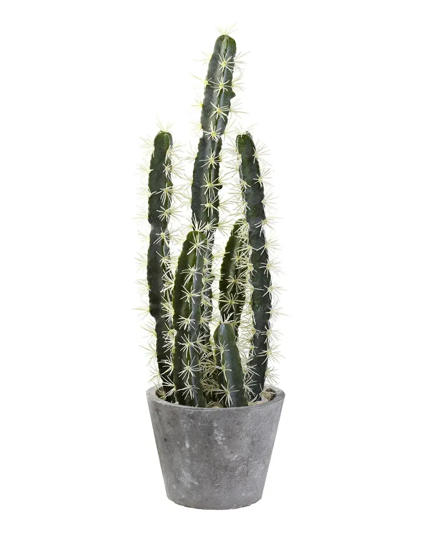 Decorative Cactus Garden - White River Rocks image