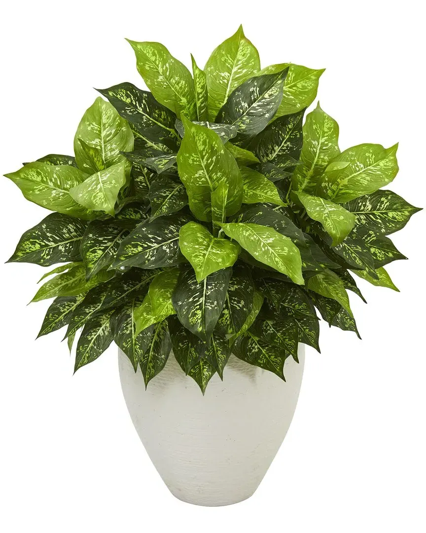 Dieffenbachia Artificial Plant in Planter - Green image