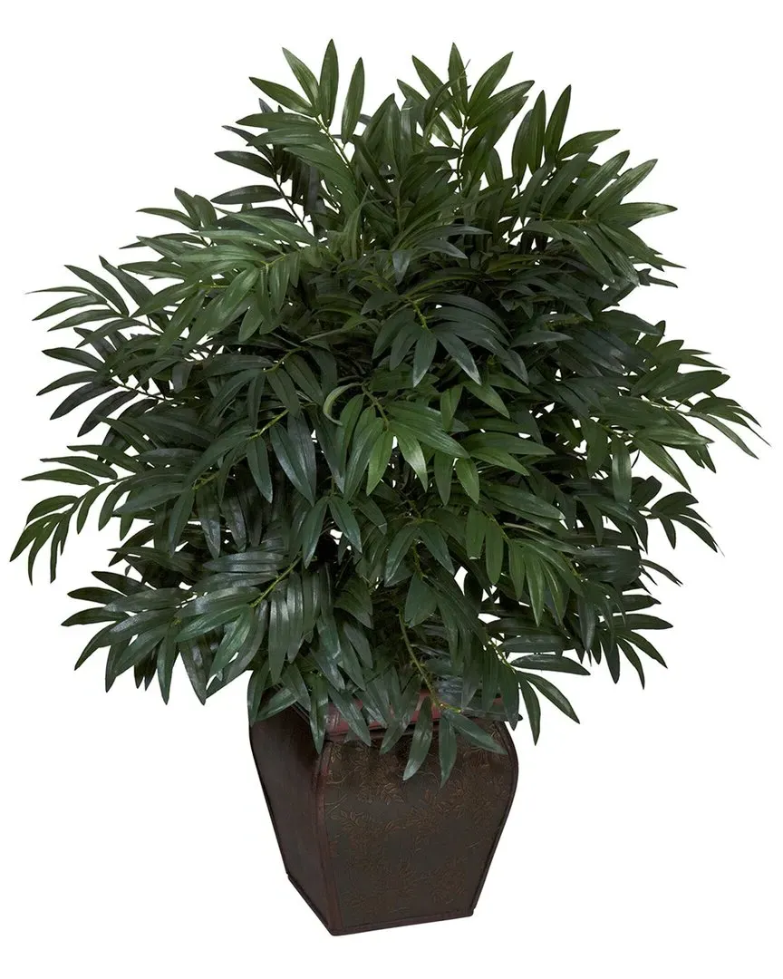 Double Bamboo Palm with Decorative Planter - Green