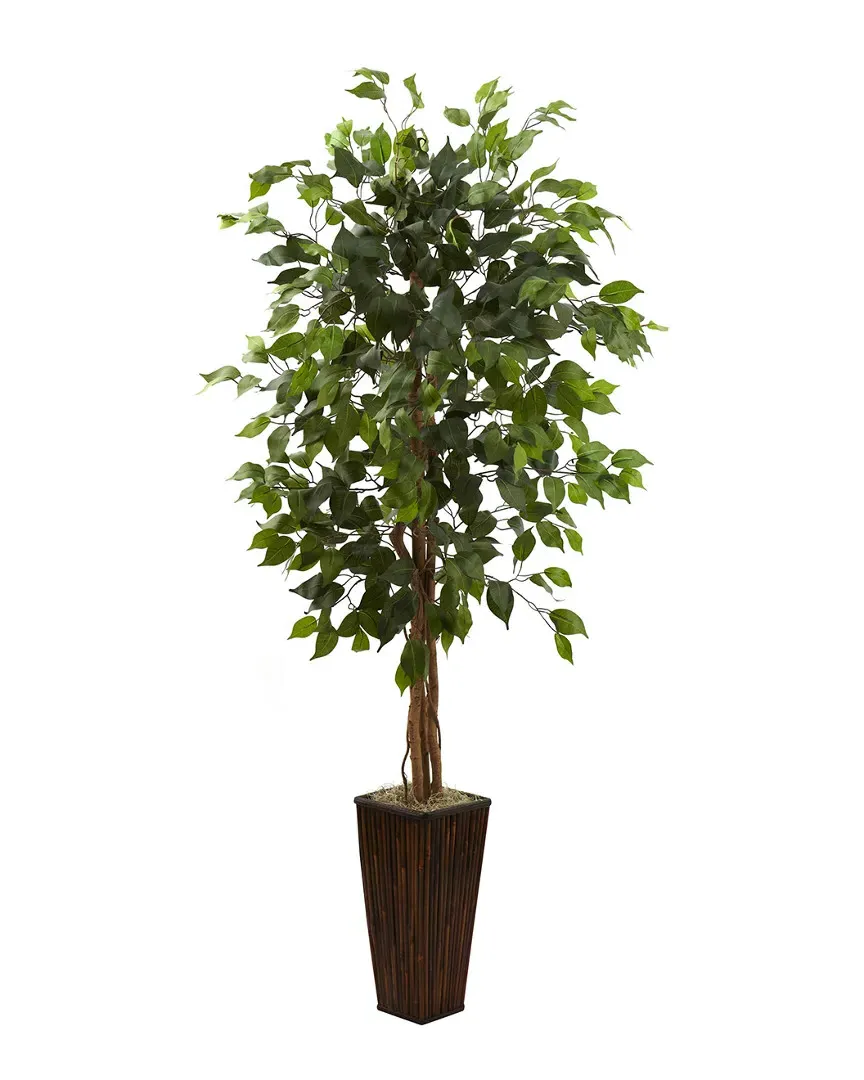 Ficus Tree with Bamboo Planter - Green image