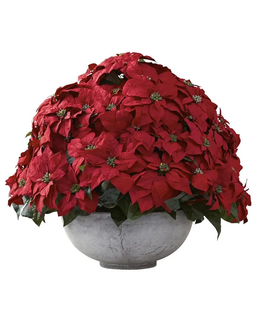 Giant Poinsettia Arrangement - Green image