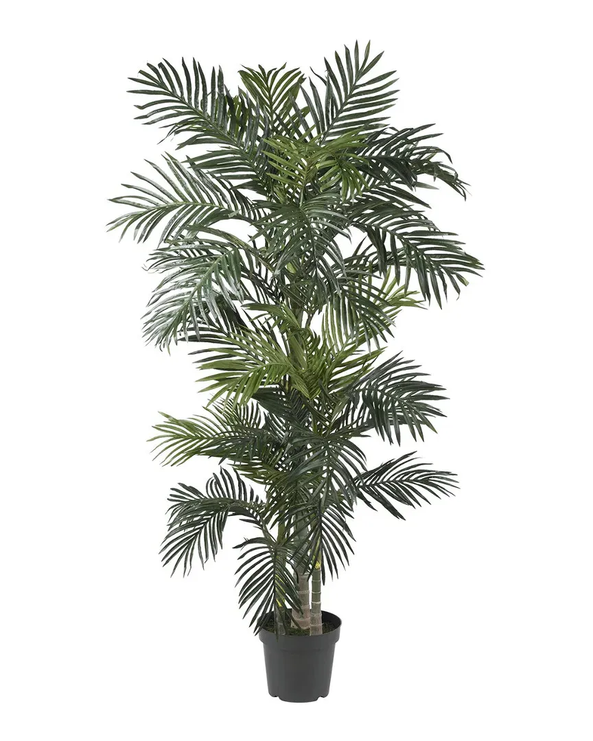 Golden Cane Palm Silk Tree - Green