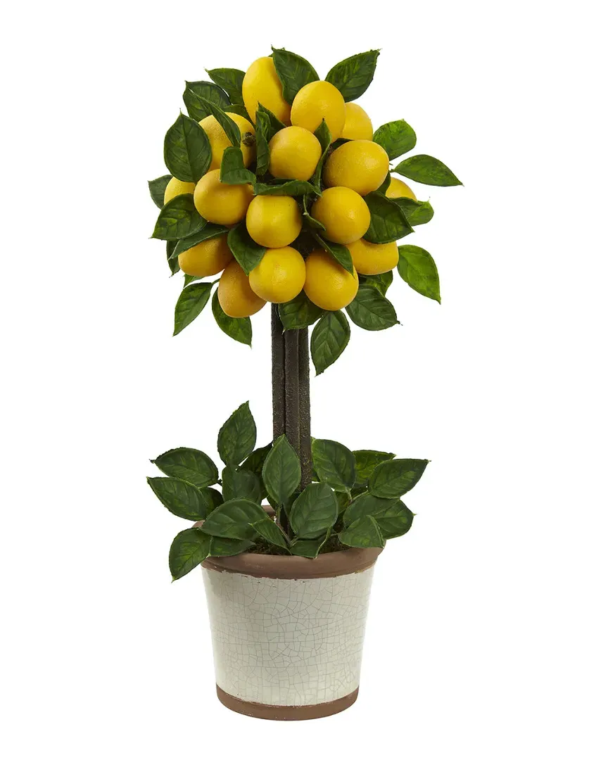 Lemon Ball Topiary Arrangement - Yellow image