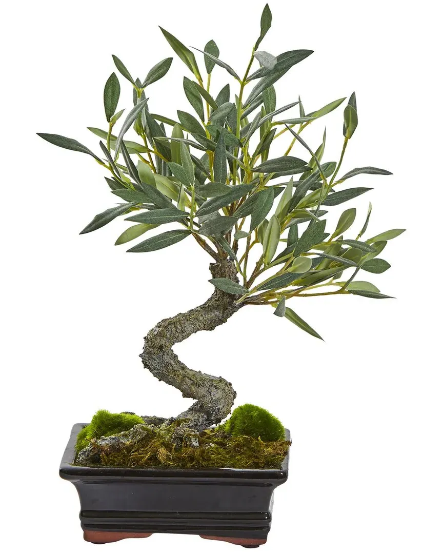 Mini Olive Artificial Bonsai Tree - Green image