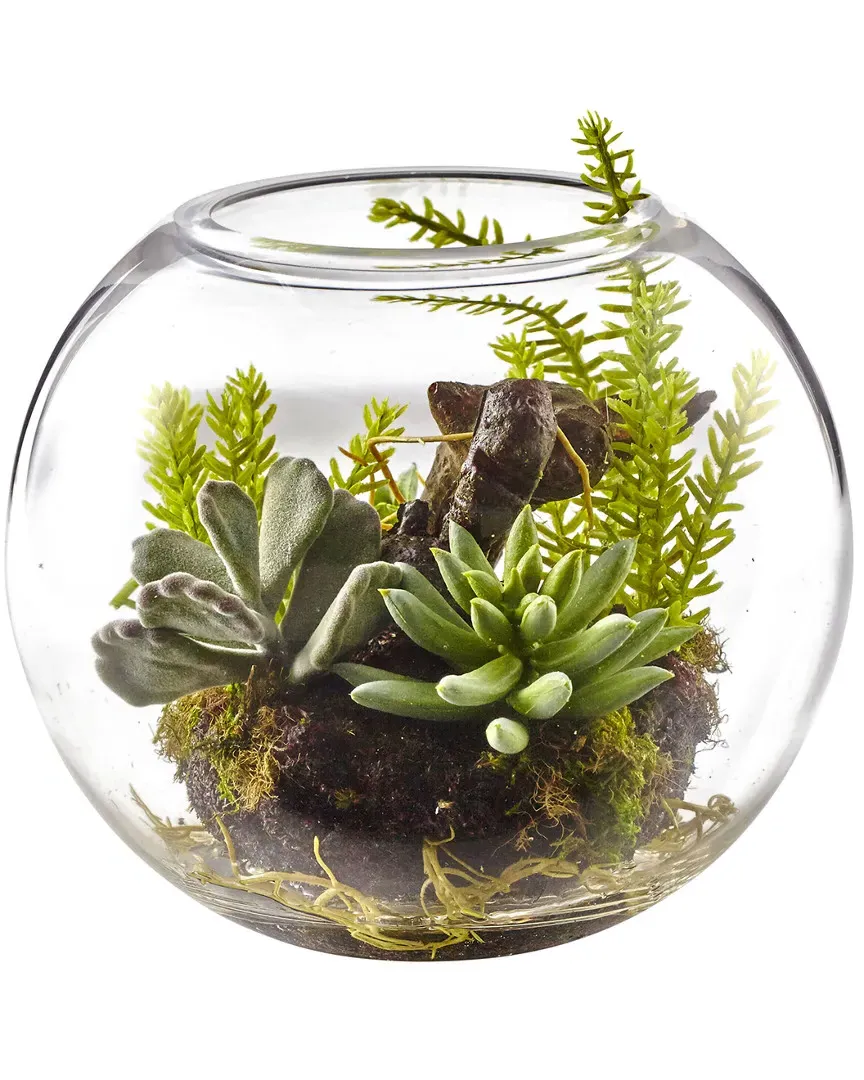 Mix Succulent Garden with Glass Vase - Green image